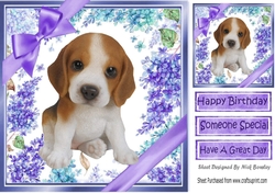 Gorgeous little beagle puppy with purple bows and flowers 8x8