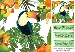 Lovely Tropical Fruit Frame with toucan 8x8