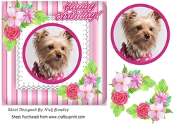 Cute yorkie puppy with corner flowers, pink striped 7x7 frame