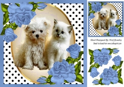 Cute kitten/puppy with blue corner roses and polkadot 8x8