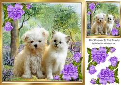 Cute kitten/puppy in the woodlands with purple corner roses 8x8