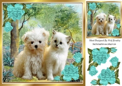 Cute kitten/puppy in the woodlands with turq corner roses 8x8