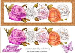 Pretty border of roses with butterfly DL (two)