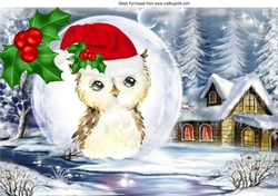 Lovely snow scene with owl in santa hat in snowball with holly A4