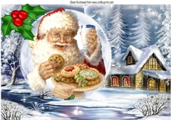 Lovely scene with santa and his milk & cookies in snowball with holly A4