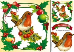 Lovely robin in holly and berry frame 8x8