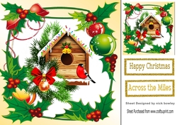 Lovely robin house in holly and berry frame 8x8