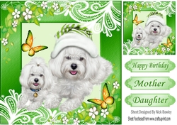 cute westies in green ornate frame with butterflies 8x8