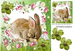 cute shy bunny with roses and flowers 8x8