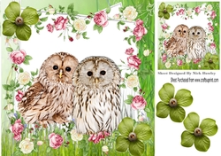 cute fluffy owls with roses and flowers 8x8