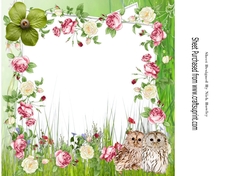 cute fluffyy owls with roses and flowers 8x8 insert/card front