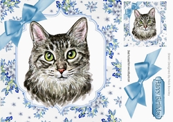 Pretty delicate flowers in blue card front with water colour cat 8x8