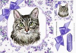 Pretty delicate flowers in purple card front with water colour cat 8x8