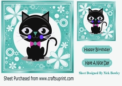 Cartoon black cat in funky turq flower frame 7x7
