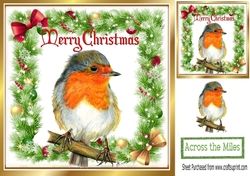 lovely robin on a branch in holly frame with bows 8x8