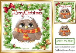 lovely winter bird in scarf in holly frame with bows 8x8
