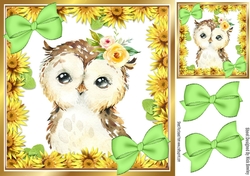 Cute water colour owl with daisies bows 8x8