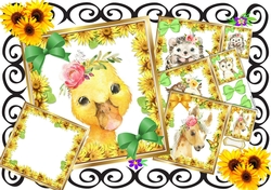 Cute water colour Animals with daisies & bows card fronts 8x8 mini kit