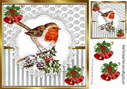 Pretty silver stripe/swirls card front with robin & bells 8x8