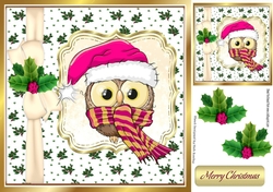 Cute owl in cerise santa hat in holly frame with bow 8x8