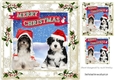 Lovely pair of dogs in santa hats in the snow 8x8