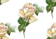 cream vintage roses backing paper (big)