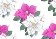 Pink and white poinsettias backing paper (Big)