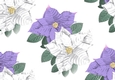 Purple and white poinsettias backing paper (Big)