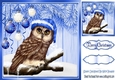 Lovely blue Christmas with fern 8x8 card front with baubles & cute owl