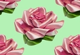 Pretty pink satin roses (Big green background)