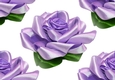 Pretty purple satin roses ( Big white background)
