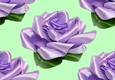 Pretty purple satin roses (Big green background)