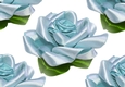 Pretty blue satin roses ( Big white background)