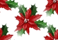 Lovely Red Poinsettia, backing paper (big white background)