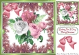 Pretty pink/white winter roses in bauble and fern frame 8x8