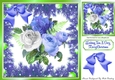 Pretty blue/white winter roses in bauble and fern frame 8x8