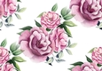 Pretty big pink roses with( white background) backing paper