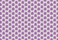 small purple roses on grey wooden background