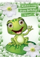 Cute little frog on a lily pad with white lilies in balloon frame A4