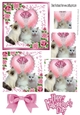 Cute kittens on lace pink heart with roses pyramids