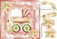 Pretty leaf and ornate frame with pram/bottle and peach flowers 8x8
