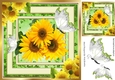 Lovely yellow sunflowers and butterflies 8x8