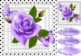 Purple roses polkadots, & lace 8x8