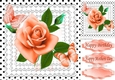 Peach roses polkadots, & lace 8x8