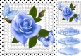 blue roses polkadots, & lace 8x8