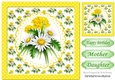 pretty white daisies flower arrangement in oval card front 8x8