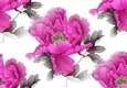 Pretty exotic cerise pink and grey flowers backing paper (big)