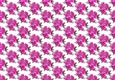 Pretty exotic cerise pink and grey flowers backing paper (small)