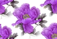 Pretty exotic purple and grey flowers backing paper (big)