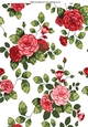 pretty red shades of water colour rose backing paper